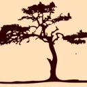 Rachel Farrell - @lyn_farrell - Twitter