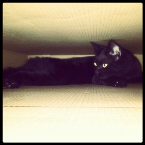 Drowsers's profile picture. AHS student ... والآجر على الله