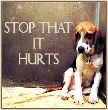 stop_cruelty19's profile picture. Animals can't speak for themselves. There are animals out there getting abused for no reason, being shoved into small cages and beaten. We can speak. Speak now.