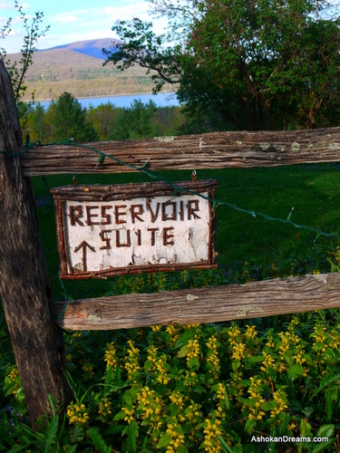 Catskill Mountain, Esopus Creek & Ashokan Reservoir. Near Woodstock, Kingston, Phoenicia.  Licensed guide, fly-fishing lessons.