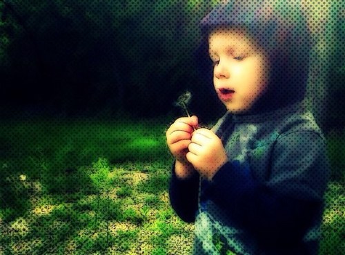 bigeck4's profile picture. 