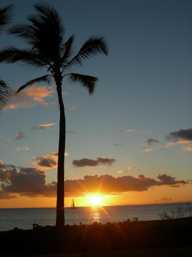 theotherbeast25's profile picture. 