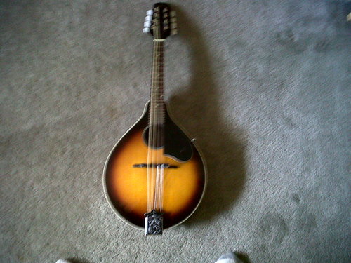 ajwonk's profile picture. Hard working, strategic, public policy professional in the lovely state of Colorado.