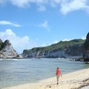 Frances Boswell - @fhboswell - Twitter