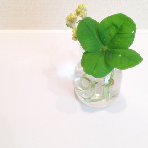 _rinlin_'s profile picture. みんな　ありがとう