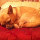 suzanne boland - @suzanneboland - Twitter