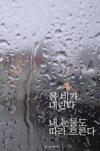 강민경♡ / 항공기♡ / 디셈버 노래♡ / 일렉•어쿠스틱 기타♡ / 17살 된 남자..ㅋ / 수영•태권도♡ / 자신의 판단과 행동을 믿어라. 그것으로 충분하다.