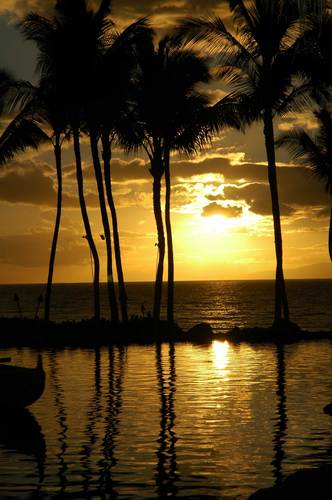 indy_gman's profile picture. Husband, father, son, brother.  Interactive marketing geek. Speed freak. Weather fanatic. Living each day and not worring about tomorrow!