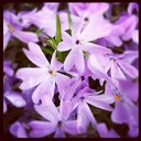 tami smith - @SmithTami - Twitter