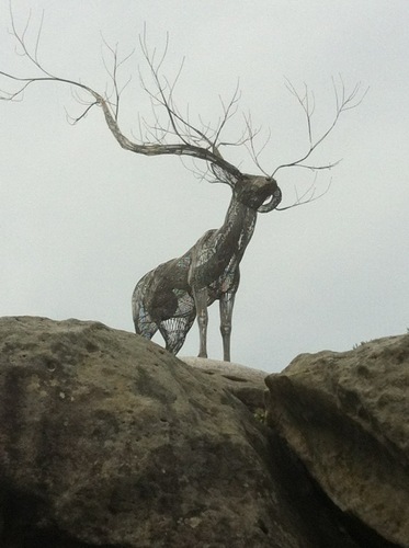 eddie_parada's profile picture. Retail Customer Service Research Expert!