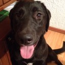 Edda Sanchez - @EddaSandra - Twitter