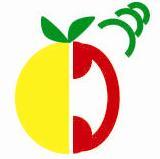 In simple words we help you to have Good Health by providing Fresh Fruits from the Farm at your doorstep