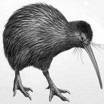 FishwithBish's profile picture. Fished over 60 years - in NZ and worldwide. Written 6 books, and 100s of fishing articles. Website since 1996. Owned NZ's best known tackle store, Just Fishin'