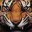 T1G3R B (@t1g3rb) Twitter profile photo