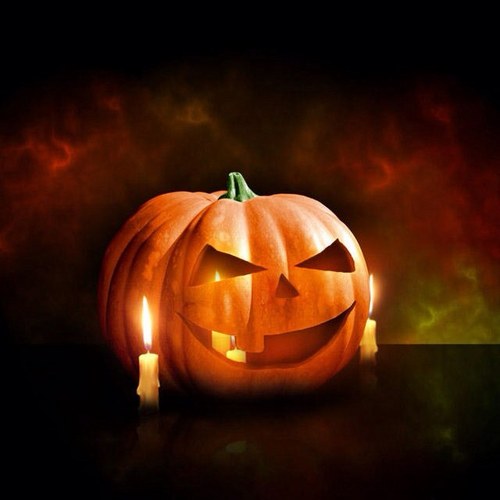 Gaia1993's profile picture. 