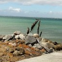 Natasha Barron - @tashbarron - Twitter