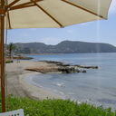 Evelyn Macfarlane - @evy1107 - Twitter