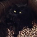 Fern Harris - @moonoak - Twitter