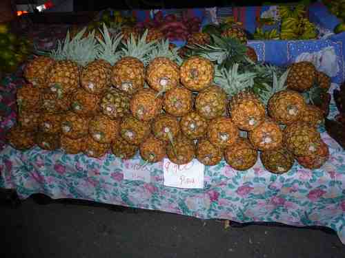 doctorlaub's profile picture. 