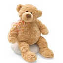 Catherine Silman - @CatherineSilman - Twitter