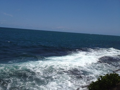 aryam57's profile picture. 