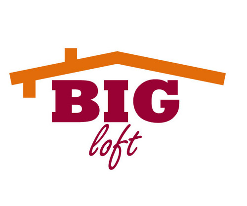 Big_Loft's profile picture. http://t.co/hg6dOHcJxV - the only place on twitter for loft conversion advice