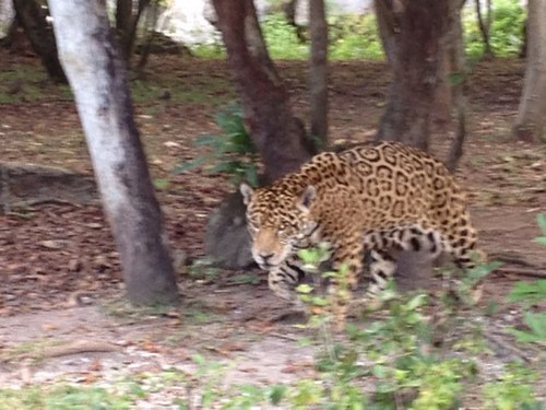 roberts_max's profile picture. 