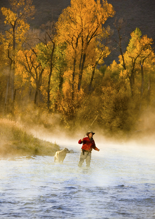 MichaelDShook's profile picture. Professional flyfishing guide, author and realtor.  Spends time guiding, running publishing business and raising kids.