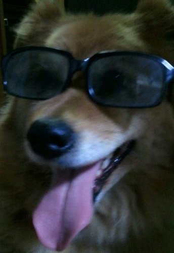 とにかく今やれることを全力で。