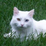 TheNancy2880's profile picture. Enthusiastic Canadian Contester