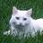 TheNancy2880's profile image