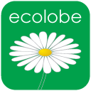 ecolobe