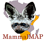 The African Mammal Atlas Project....Putting Africa's mammals on the map!