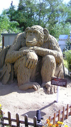 piart_norin0ri's profile picture. 