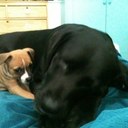 Jackie Hare - @Jacquelinehare - Twitter