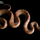 Larry Winningham - @LarryWinningham - Twitter