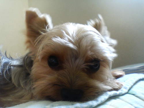 tomozou7974's profile picture. Photo is ...