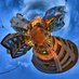 Epoca Libera (@epocalibera) Twitter profile photo Epoca Libera (@epocalibera) Twitter profile photo