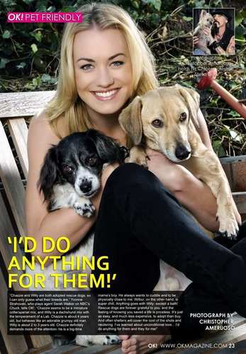 y_vonneFan's profile picture. 