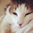 lifeatmars's profile image