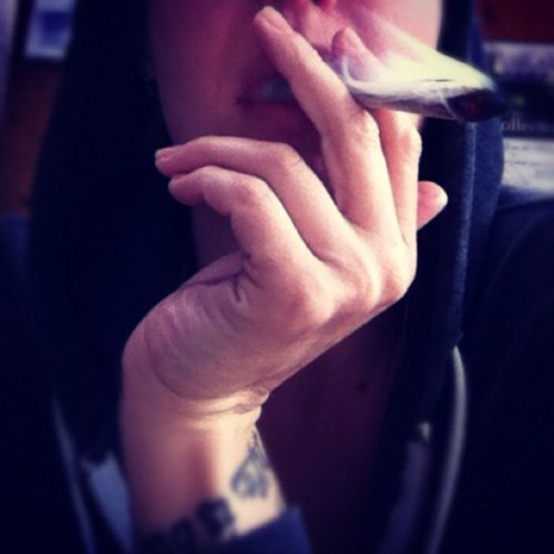 coreylouthomas's profile picture. Founder of @honeypotproduct - 14x High Times Cannabis Cup Winner