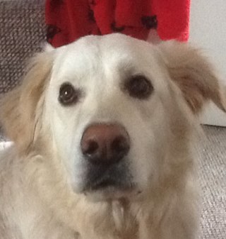 Perryba1's profile picture. 