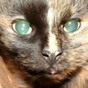 wayne bingham - @waynebingham1 - Twitter