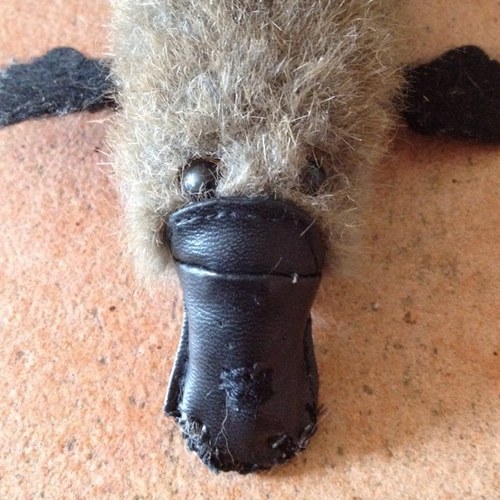 thesunmother's profile picture. [mum, engineer, traveller]