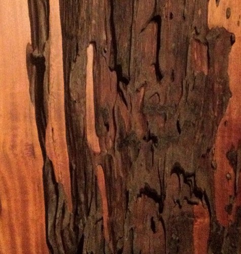 gjgowans's profile picture. 