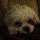 Peter Quesnel - @peter_quesnel - Twitter