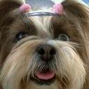 Bernard Gray - @bernardyceci - Twitter