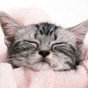 Sue Galloway - @siouxsiesioux59 - Twitter