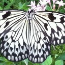 Tracy Appleby - @ApplebyTracy - Twitter