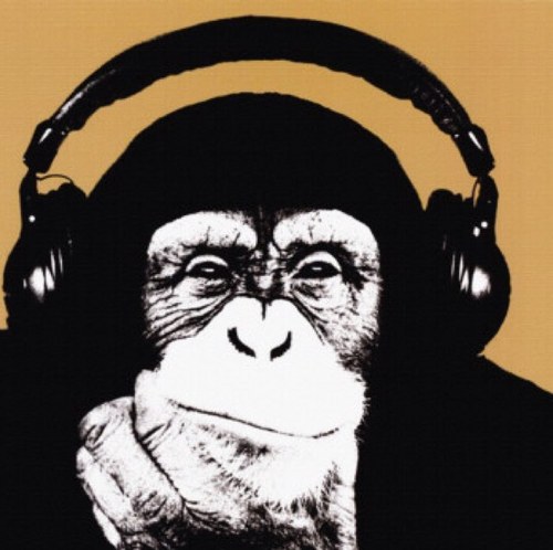 adridavos's profile picture. 